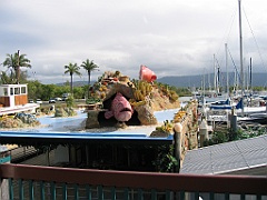 CairnsTC302 Port Douglas